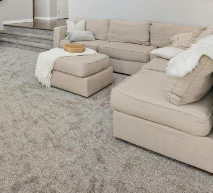 Professional carpet and floor cleaning results in an Daytona, FL home by Dan Dan the Carpet Man