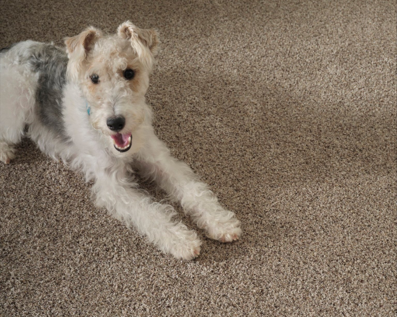 Flooring trends in Indianapolis, IN Flooring trends in Indianapolis, IN