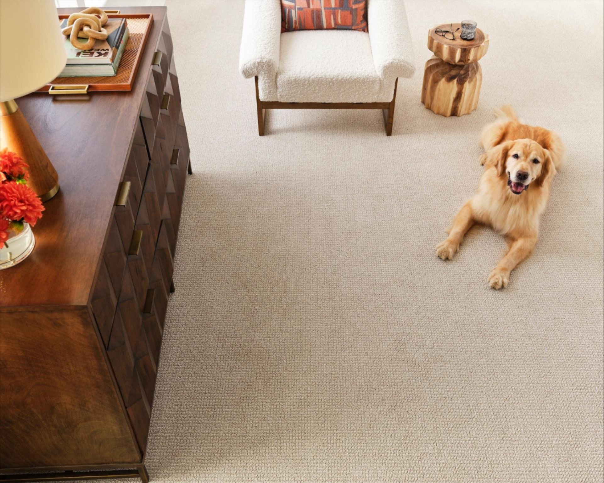 Carpet warranties in Indianapolis, In Carpet warranties in Indianapolis, In