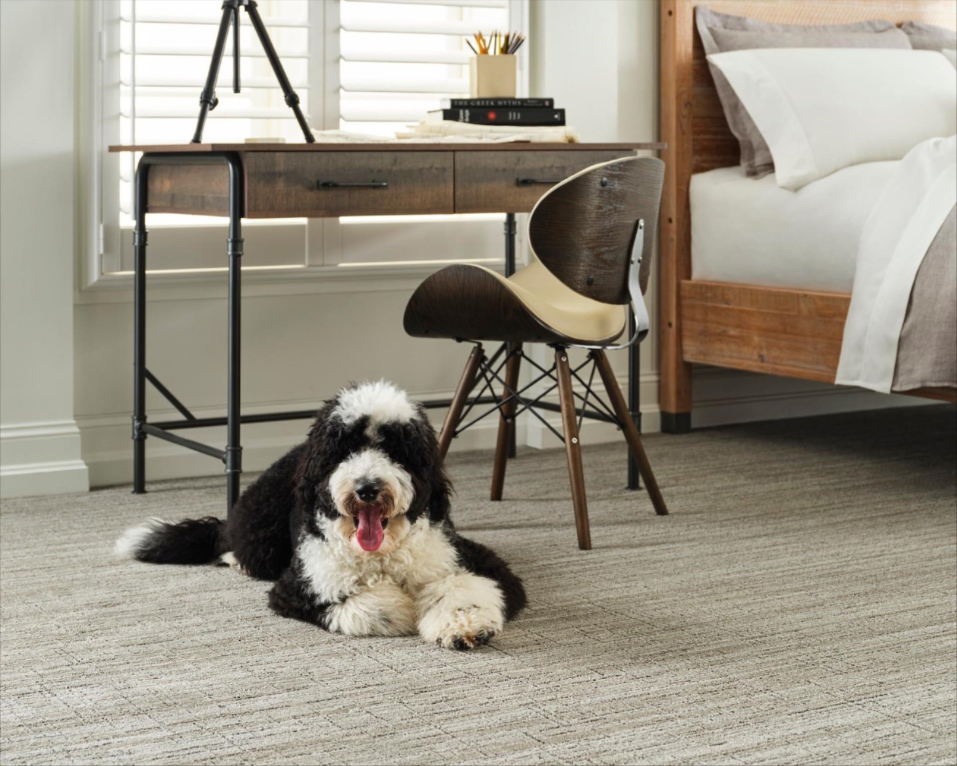 Carpet installation services in Westfield, IN Carpet installation services in Westfield, IN