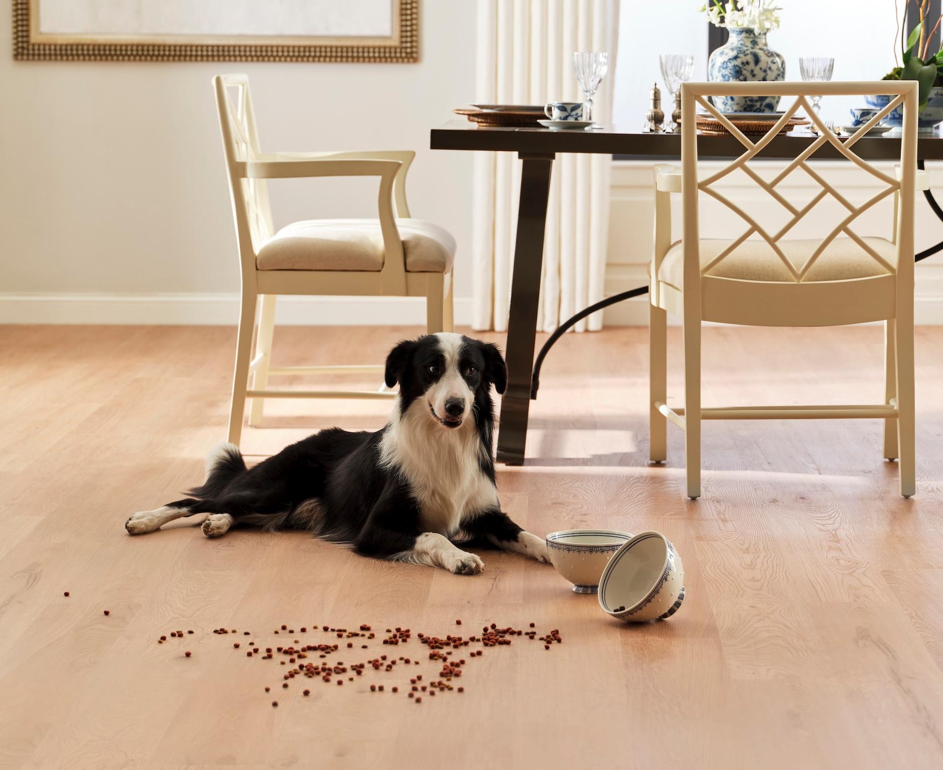 Luxury Vinyl plank flooring Installation in Indianapolis, IN