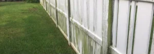 Before image Fence Cleaning