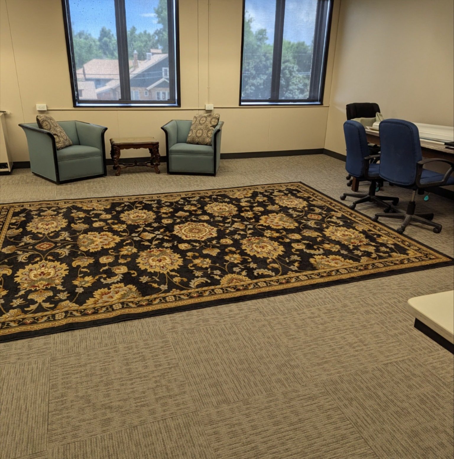 Carpet and area rug displayed in a Cañon City, CO home, showcasing local carpet flooring options