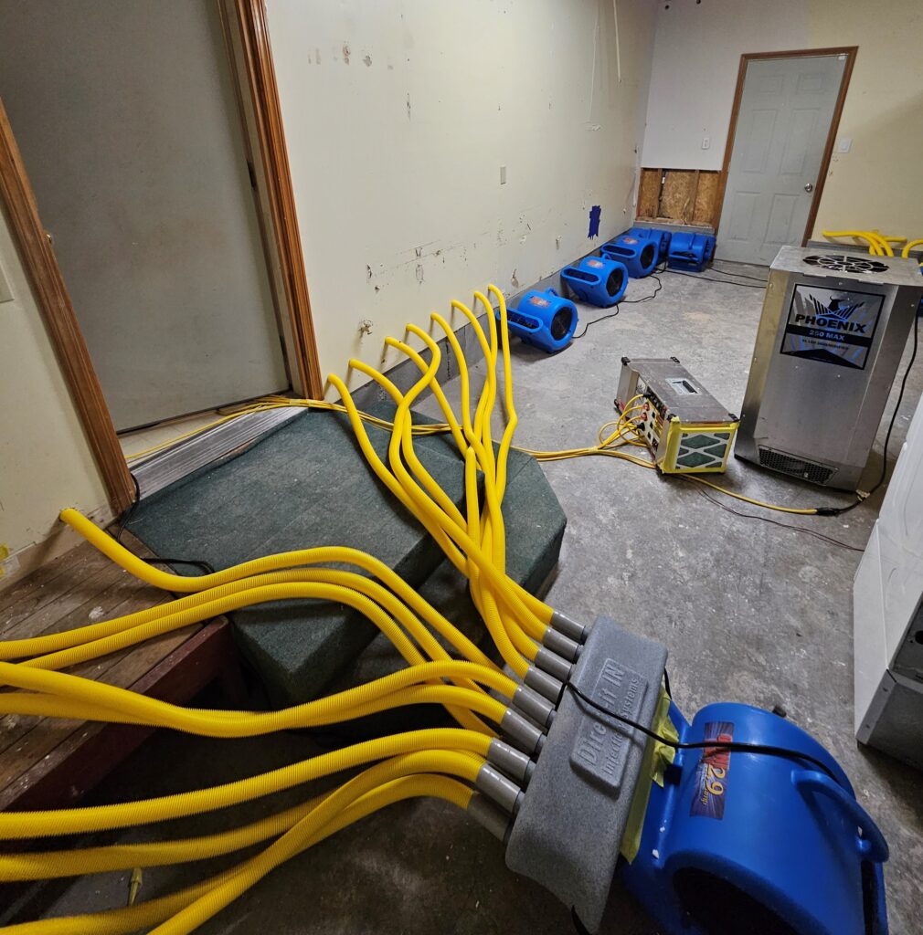 Mold remediation services in Lewis County, WA Mold remediation services in Lewis County, WA