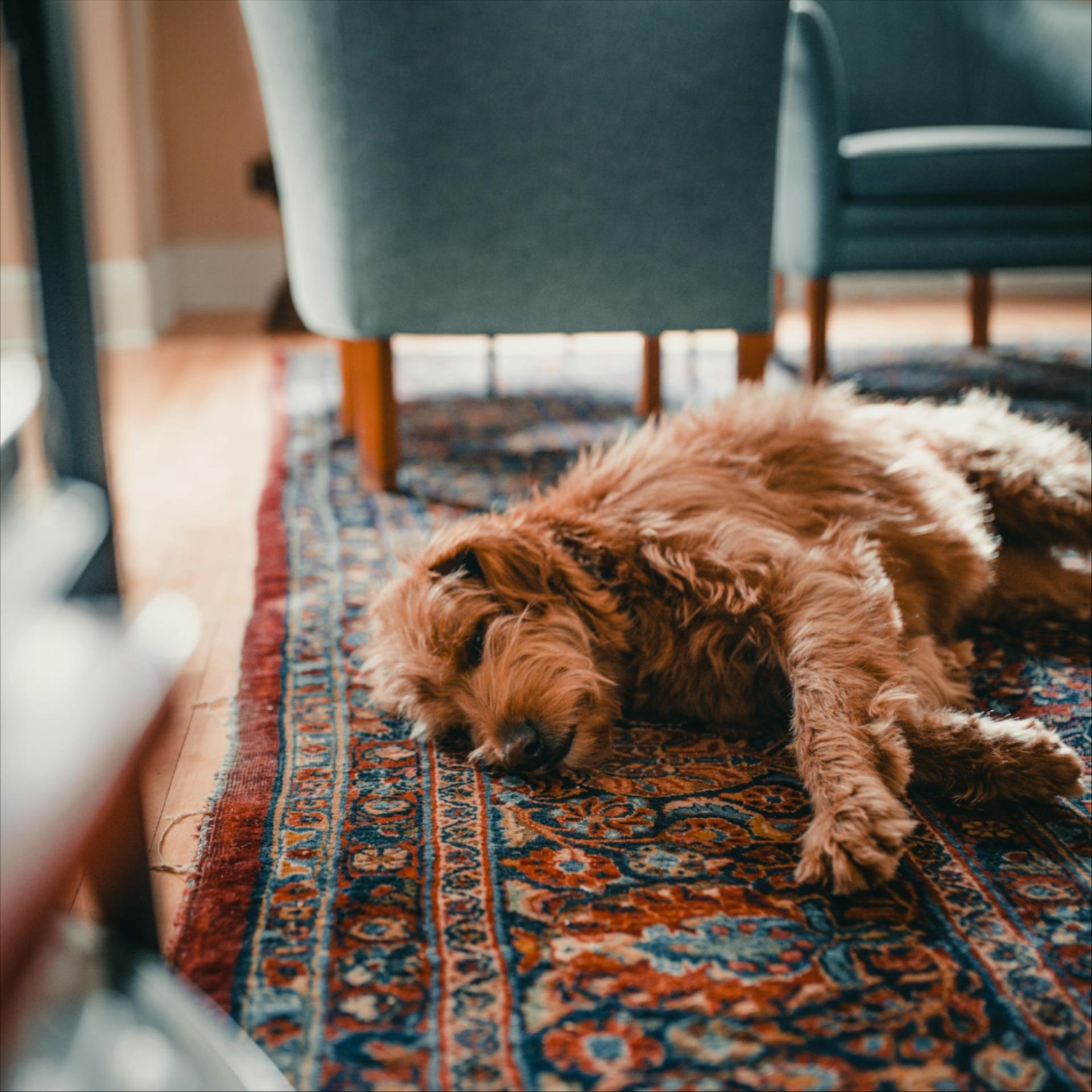 Ozone Odor Removal Service in Lewis County, WA Ozone Odor Removal Service in Lewis County, WA