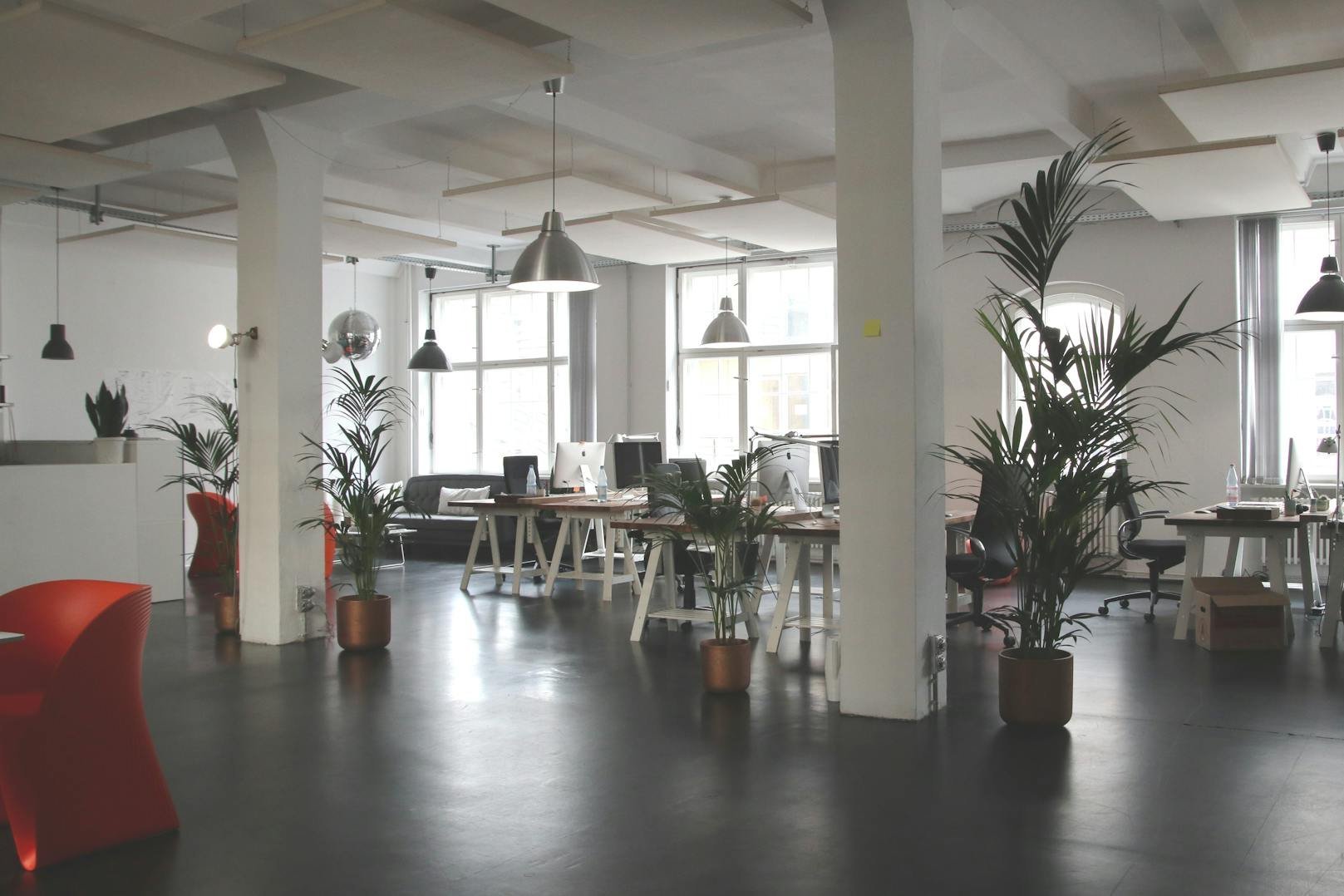 Carpet and upholstery cleaning for businesses in Lewis County, WA