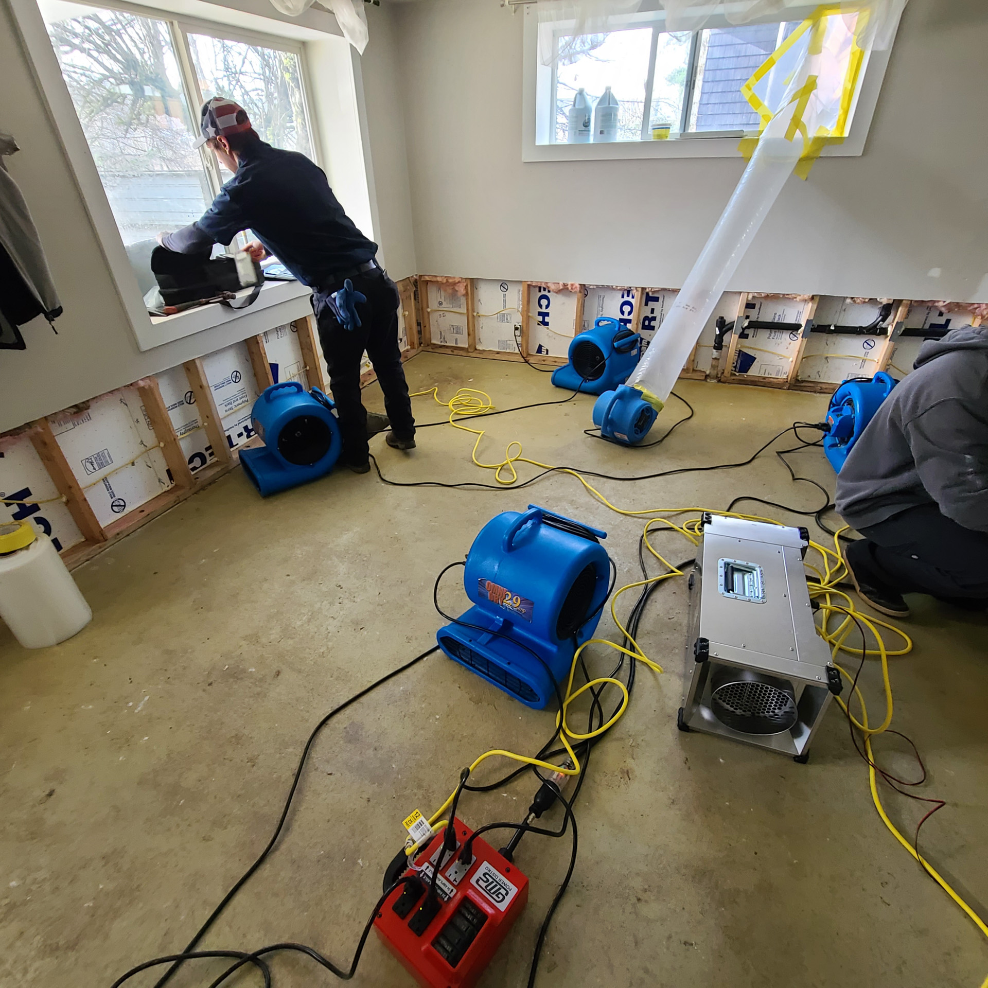 Steam cleaning services Toledo, WA