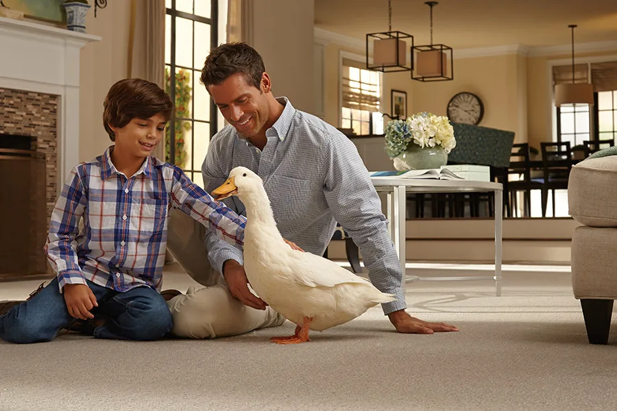 Best carpet selection in Rankin County, MS