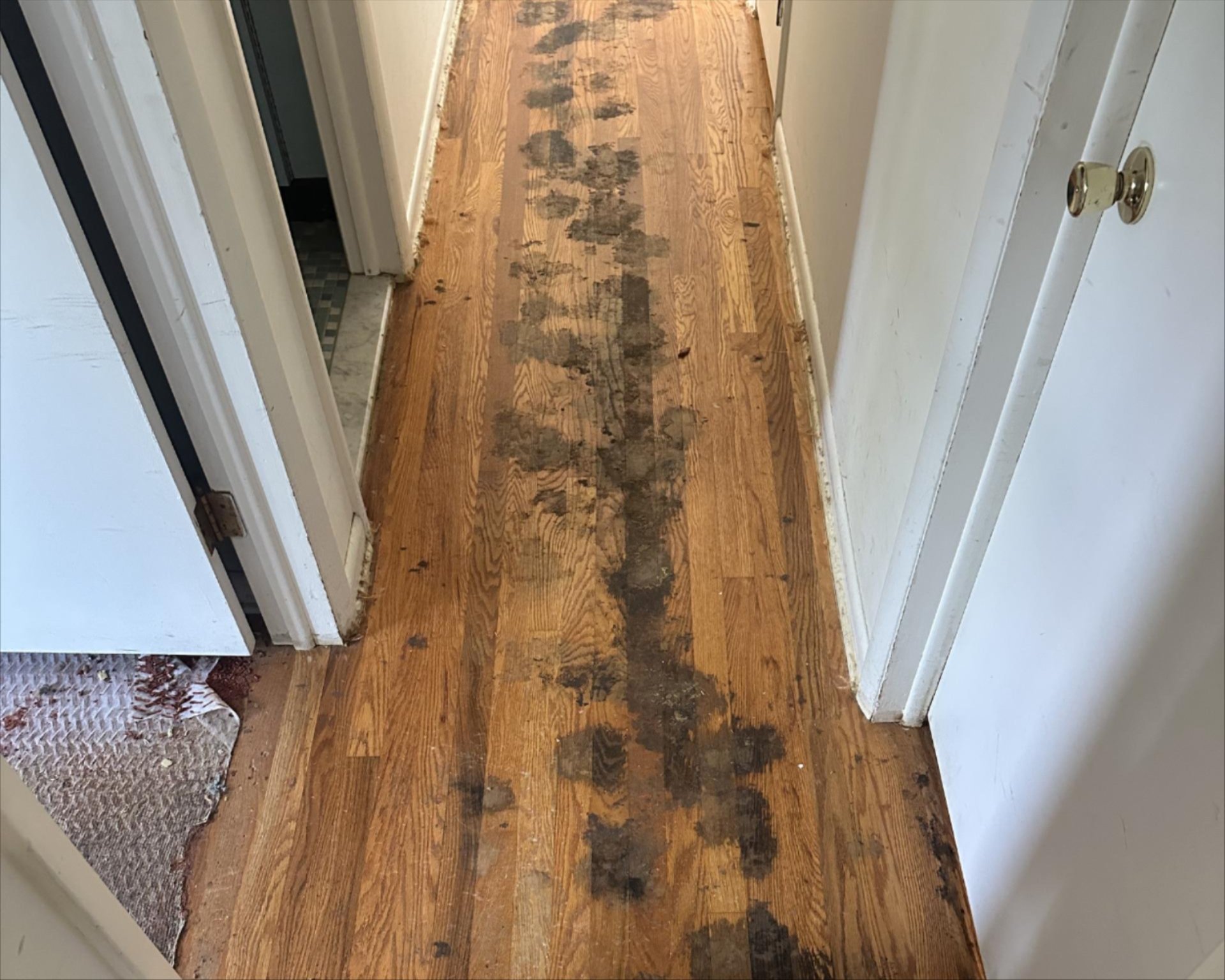 Before flooring repair in Wilmington, DE