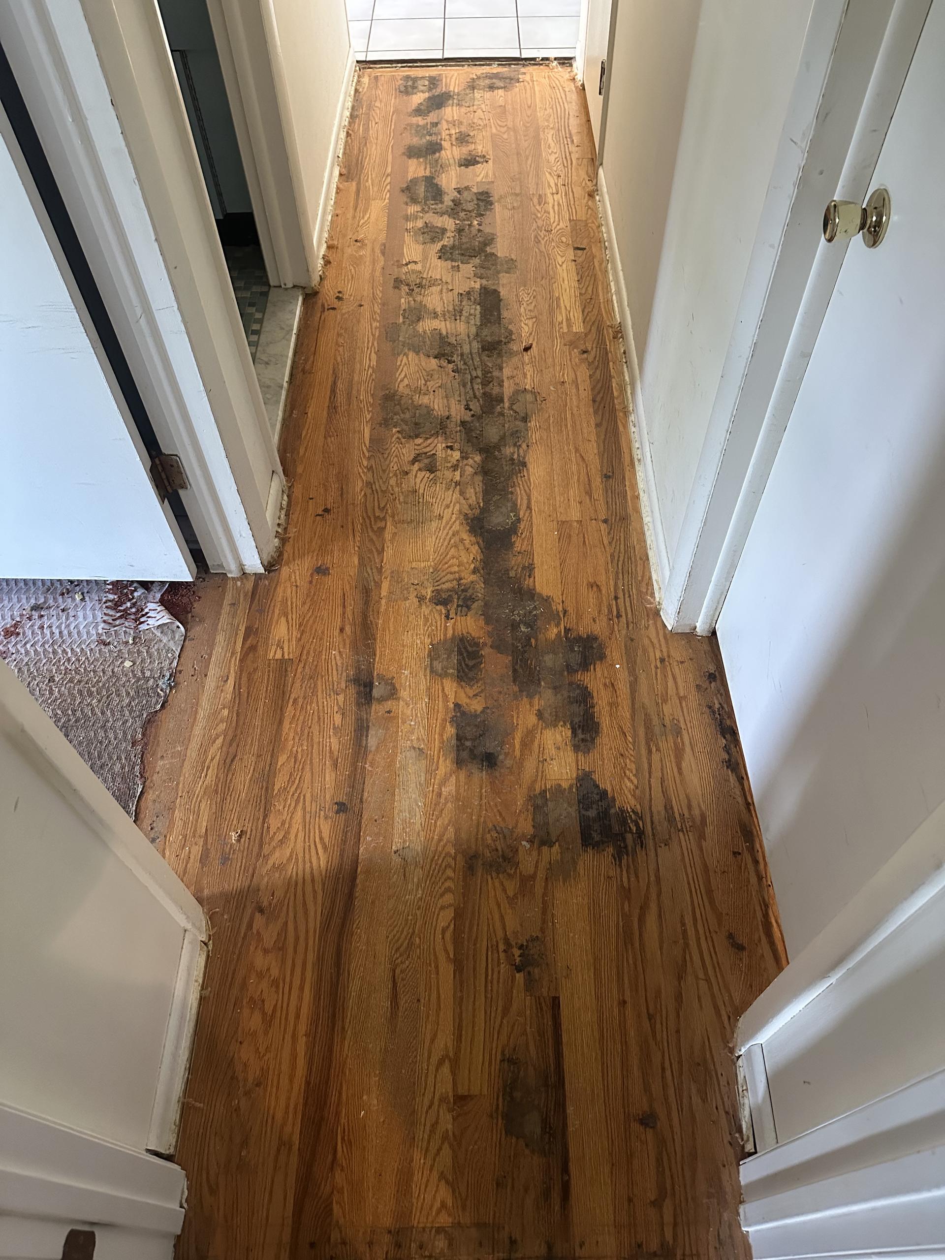 Before picture of flooring repairs in Wilmington, DE