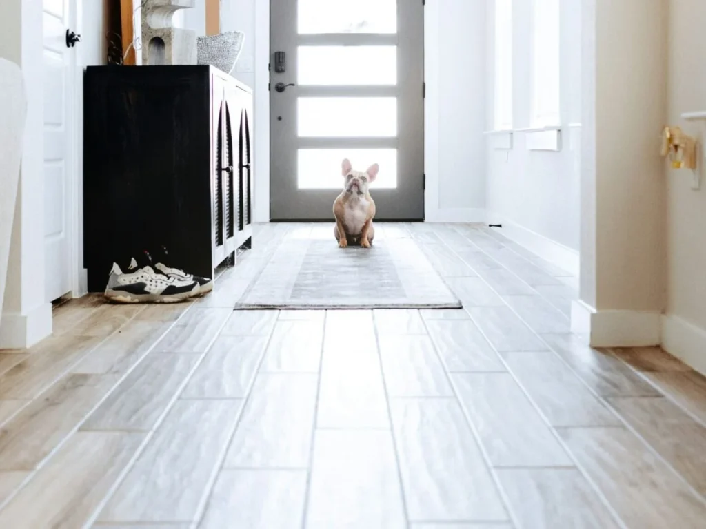 Flooring care guide in Somerset, KY