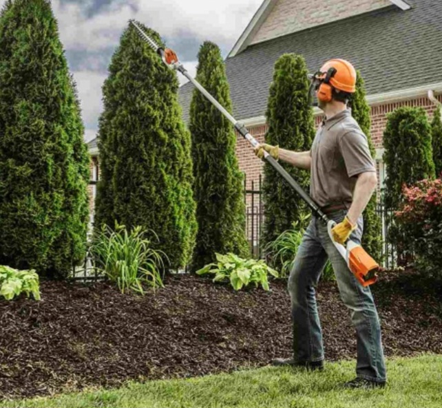 Tree trimming  services in East TX