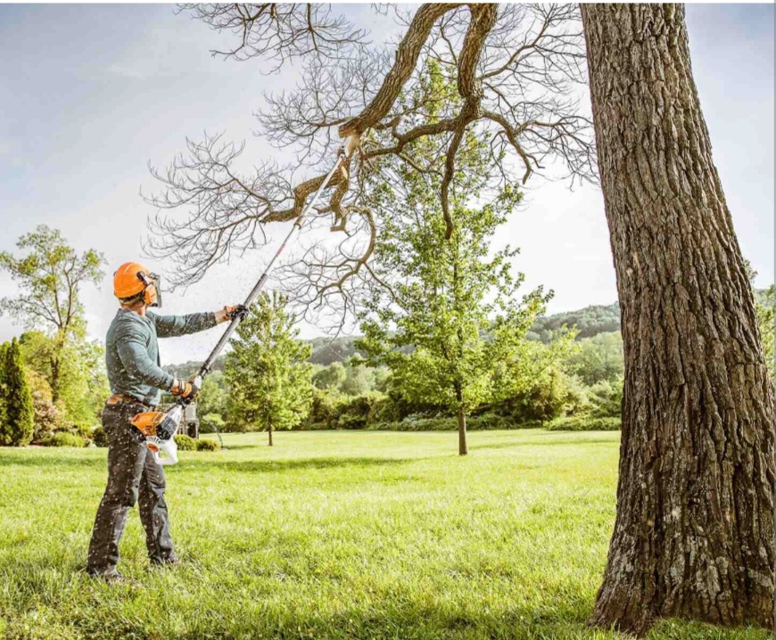 Tree and brush removal in Anderson County, TX