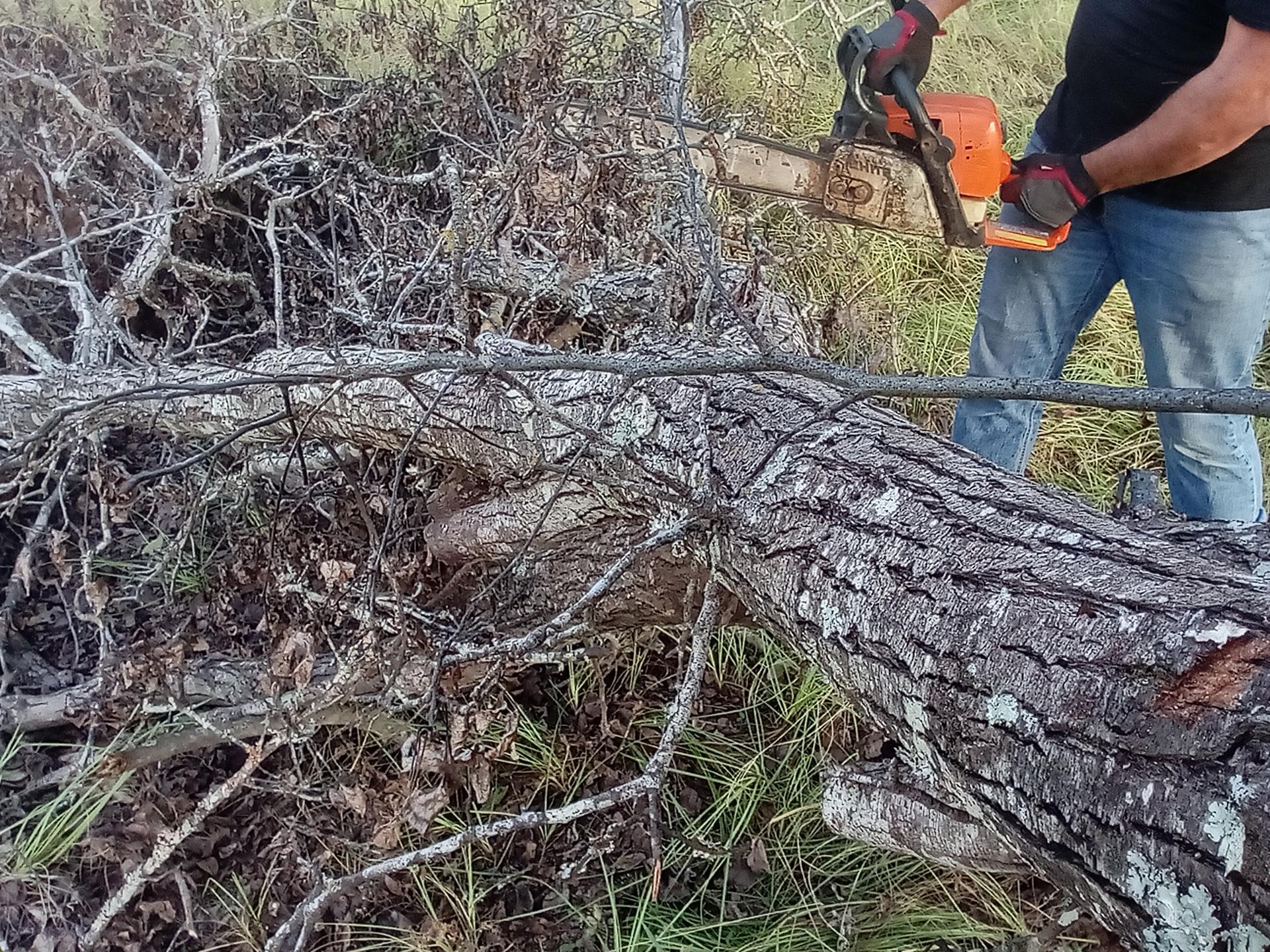 Land Clearing services in East Texas