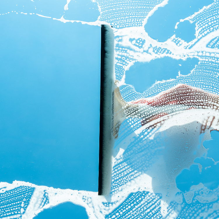 Window Cleaning Services in Central Minnesota