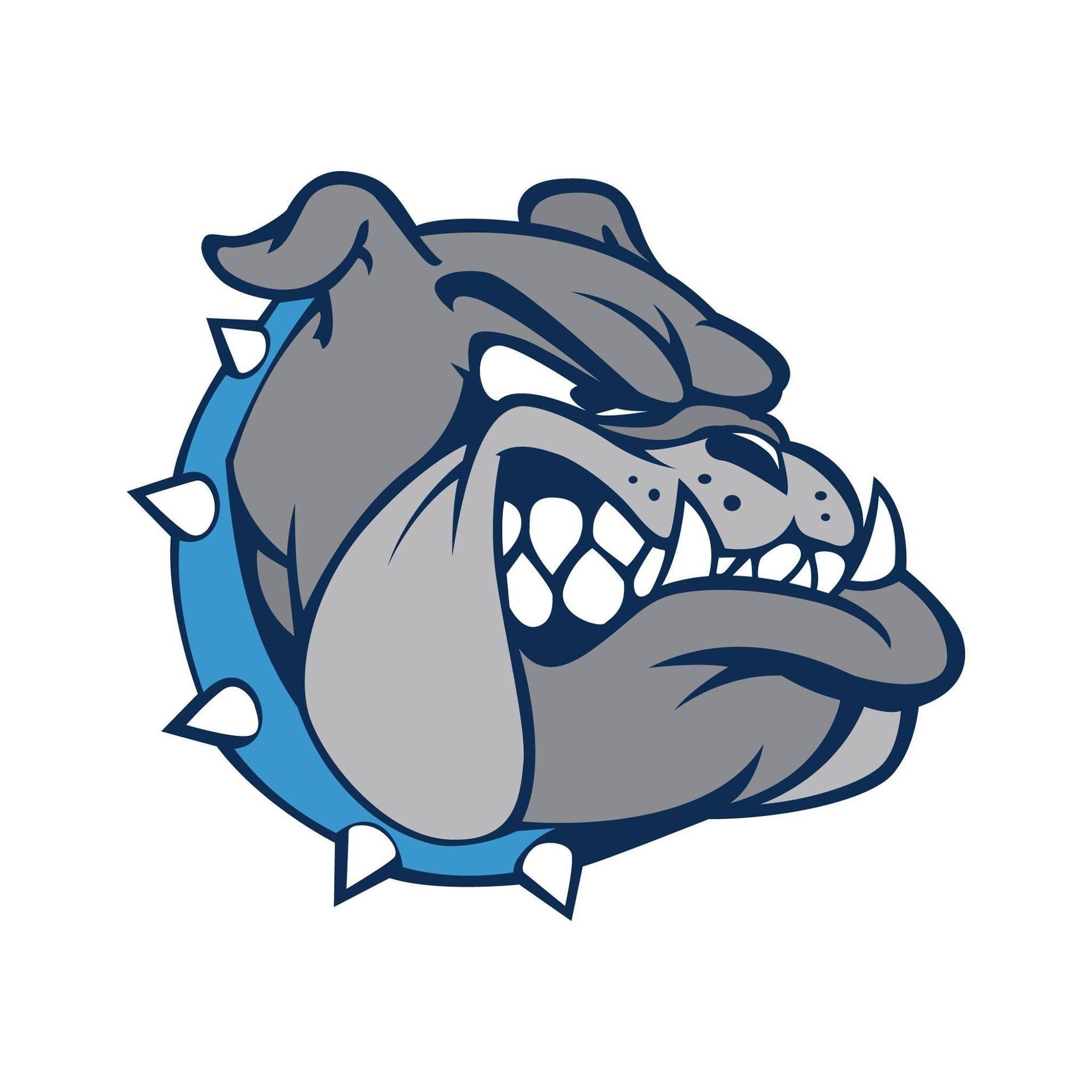 Window Cleaning Services in Becker, MN