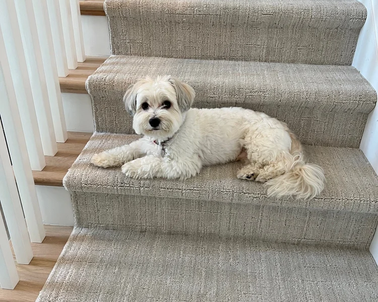 Flooring store in Cumming, GA Flooring store in Cumming, GA