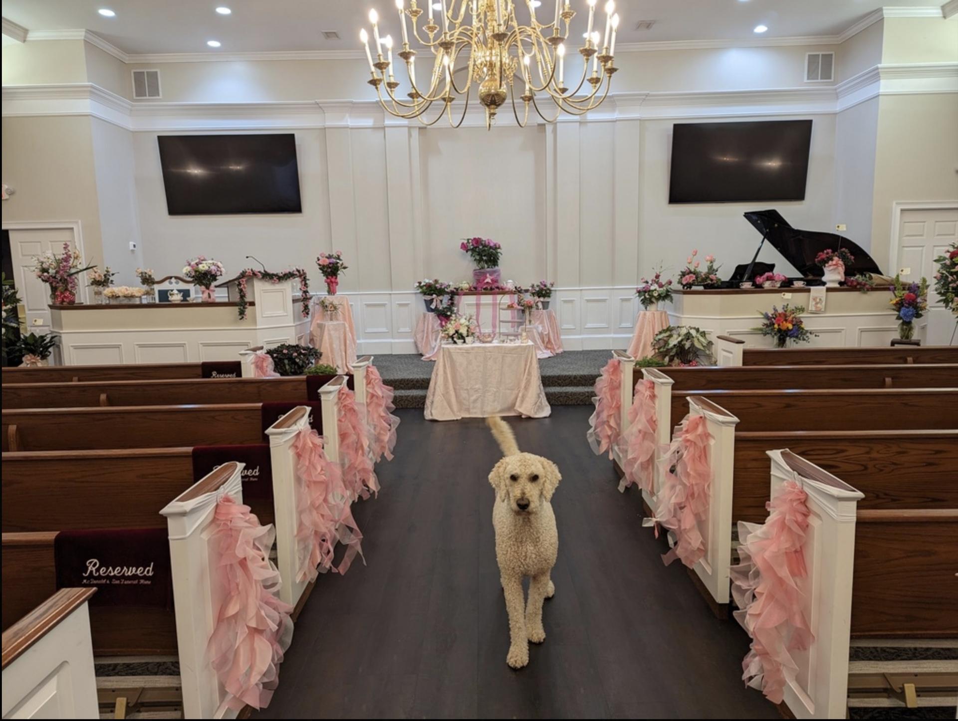 wide plank Luxury Vinyl flooring in Cumming, GA