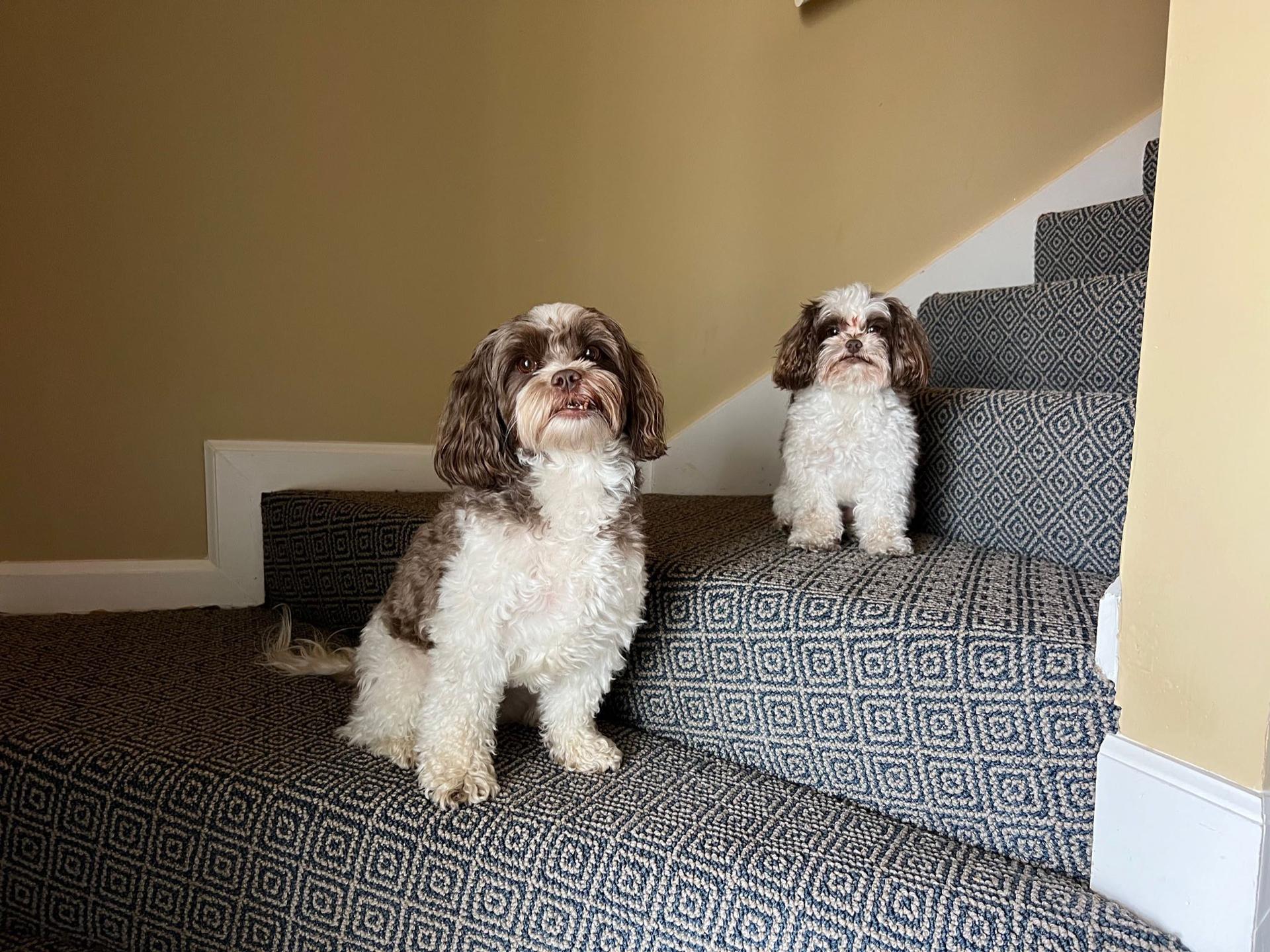 luxurious stair runners in Cumming, GA