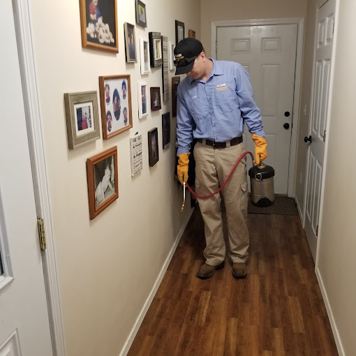 Pest control in Rolla, MO