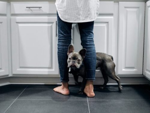 Tile Flooring in Fredericksburg, VA