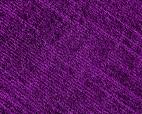 Premium Polyester Carpet Installed in Fredericksburg, VA Premium Polyester Carpet Installed in Fredericksburg, VA