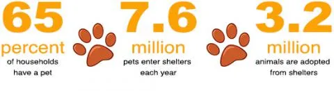 Carpet cleaning with fast drying time in colorado springs, CO