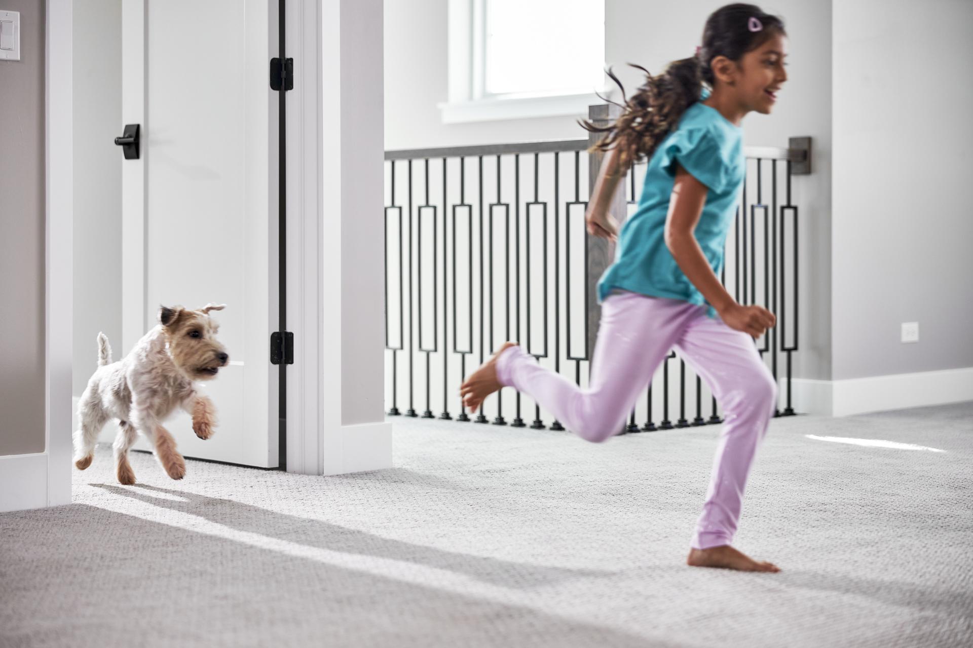 Pet Urine Removal in Colorado Springs, CO and beyond