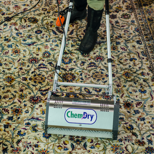 Carpet cleaning with fast drying time in Security-Widefield, CO