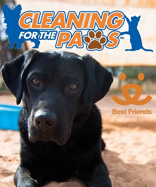 El Paso County Chem-Dry is a proud supporter of Best Friends Animal Society