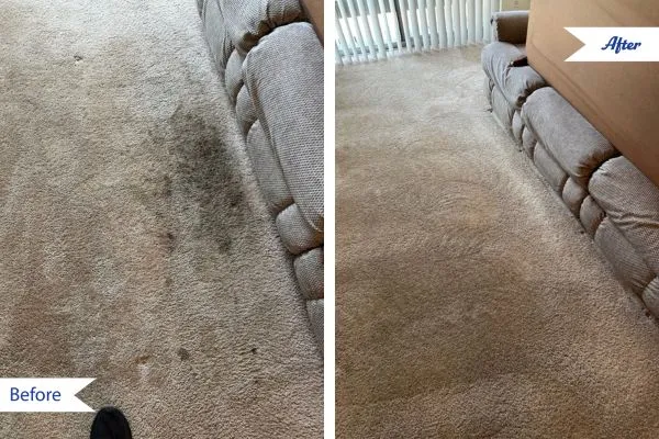 Before & after carpet cleaning photos in Monument, CO