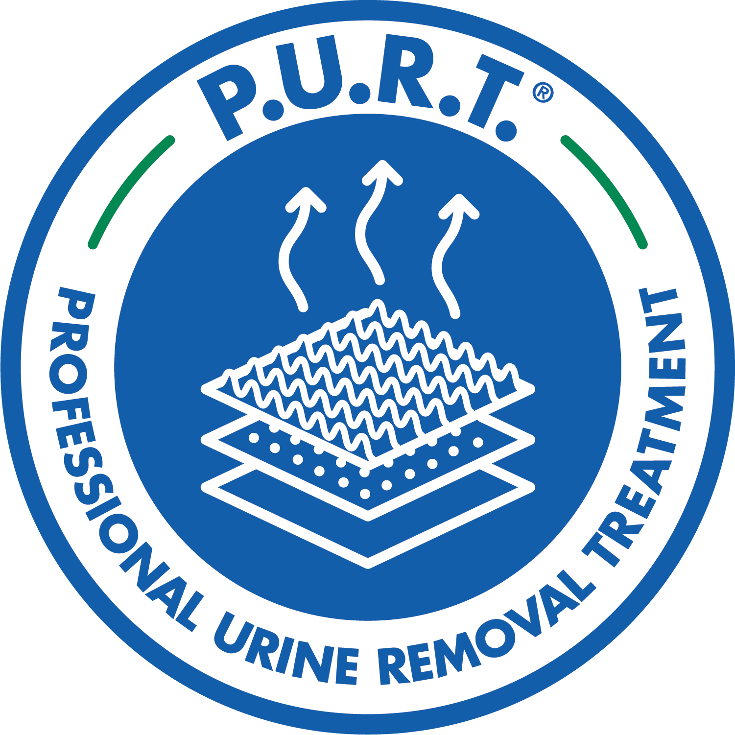 Professional urine removal treatment in Colorado Springs, CO