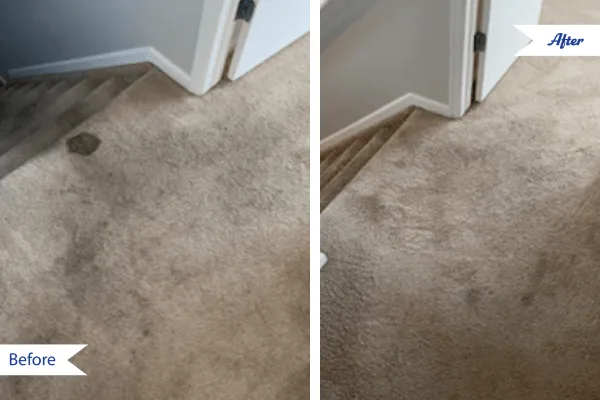 Before & after carpet cleaning photos in Gleneagle, CO