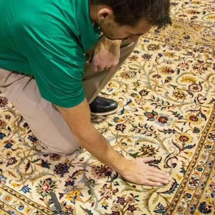 Pet stain removal for area rugs in Colorado Springs, CO Pet stain removal for area rugs in Colorado Springs, CO