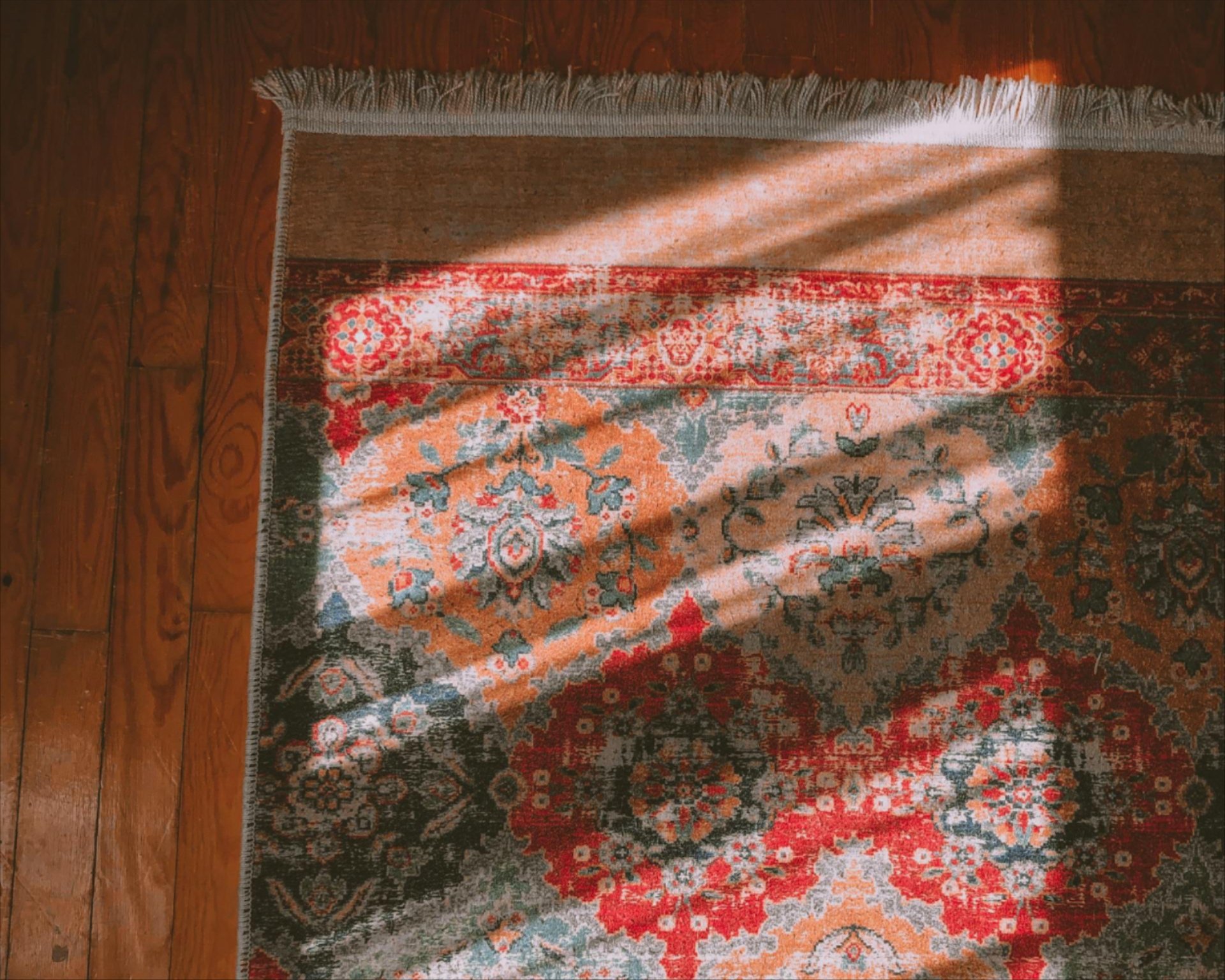Oriental and area rug cleaning services in Rogers, AR and surrounding areas