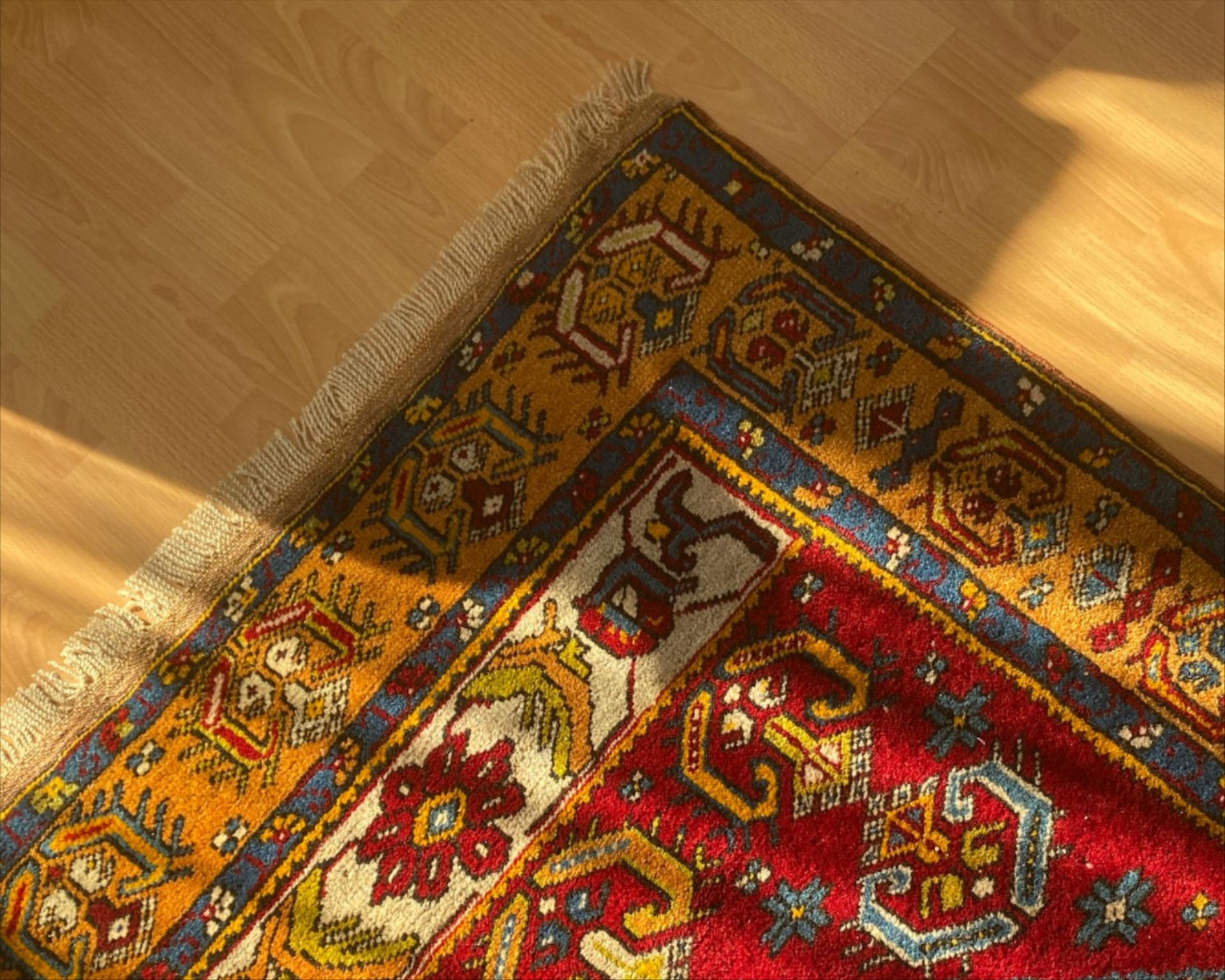 area rug cleaning services for office, retail space, medical facility, daycare, salon, or restaurant in Rogers, AR