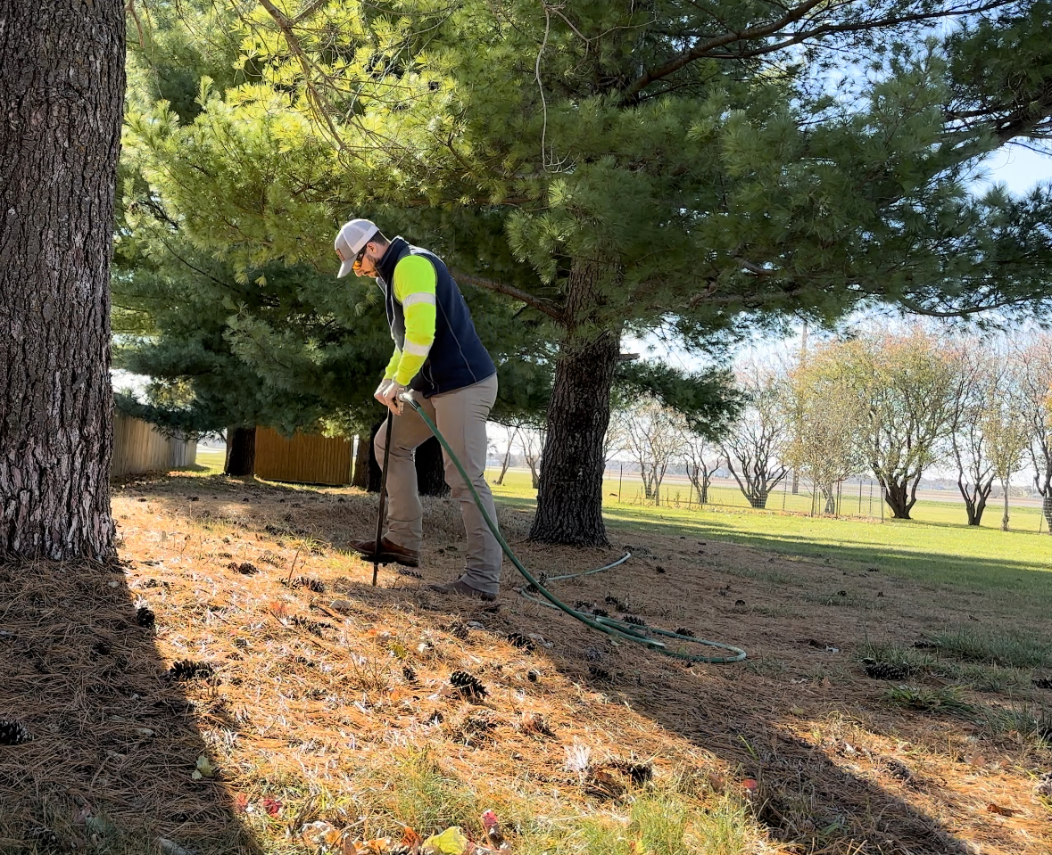 Board Certified Master Arborist in Boone County, IA Board Certified Master Arborist in Boone County, IA