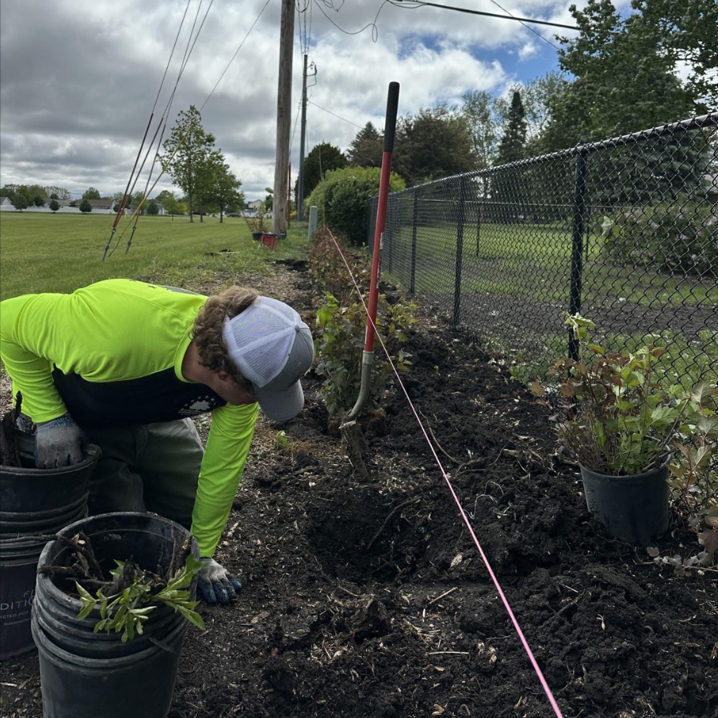 Board Certified Master Arborist in Des Moines, IA area Board Certified Master Arborist in Des Moines, IA area