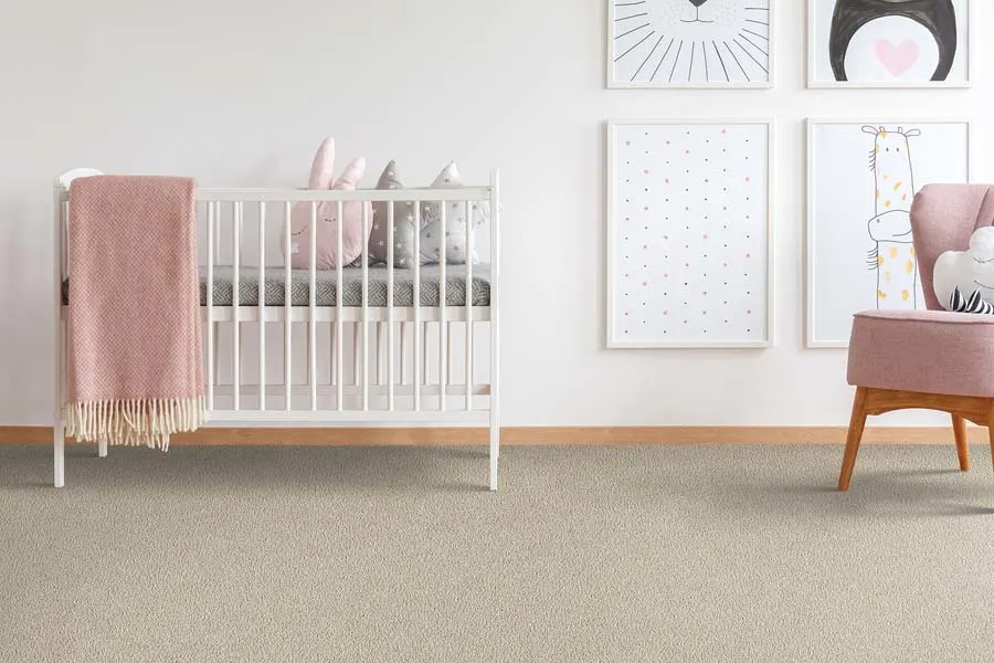 Best types of carpet for homes in Central Ohio
