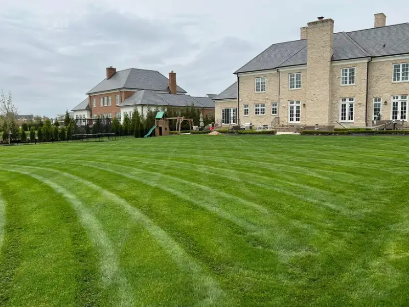 Lawn Maintenance