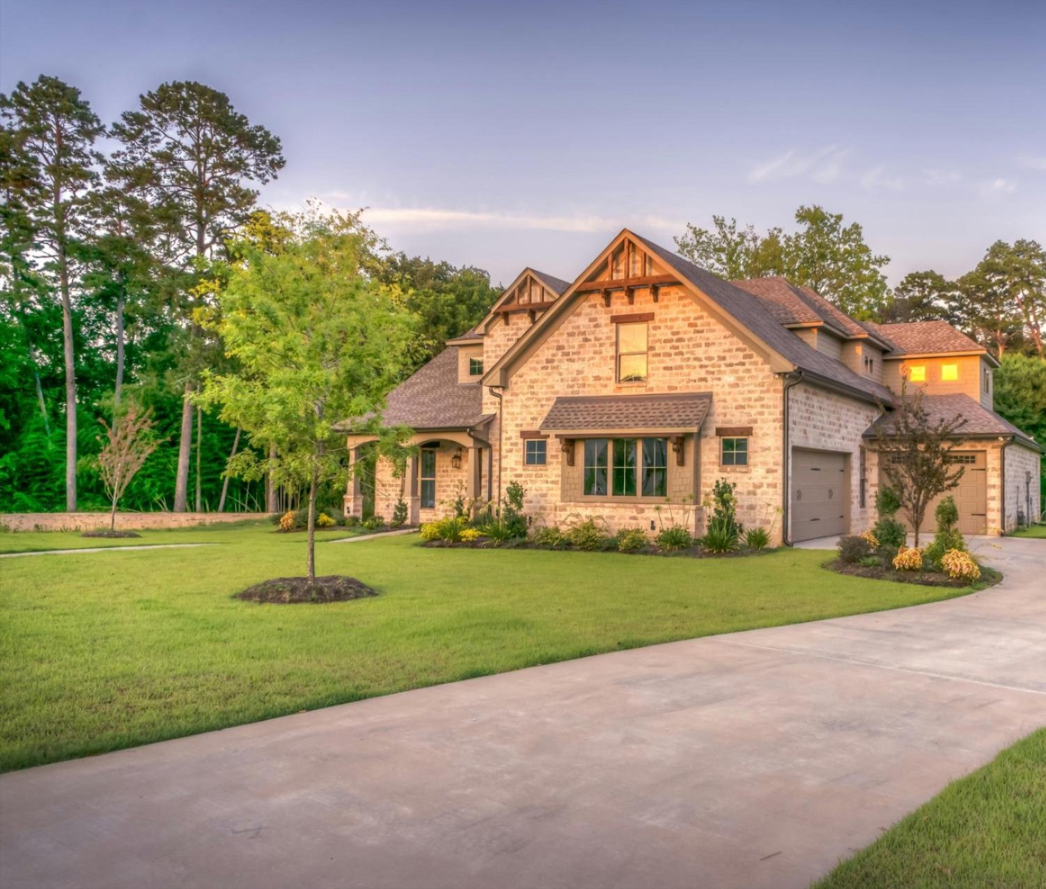 Expert tree consultations in Dallas TX and surrounding areas Expert tree consultations in Dallas TX and surrounding areas