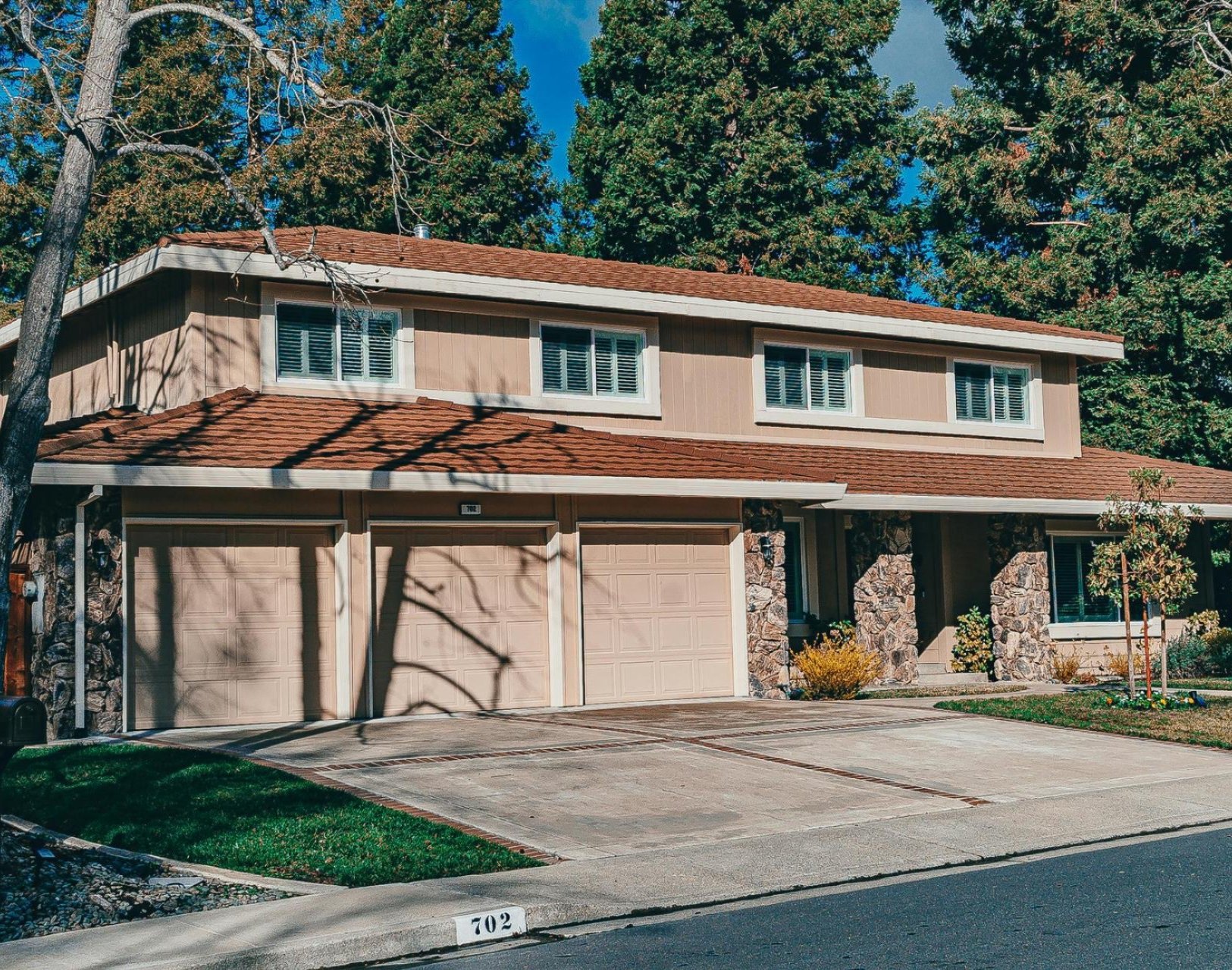 Professional tree services near Casa View, TX Professional tree services near Casa View, TX