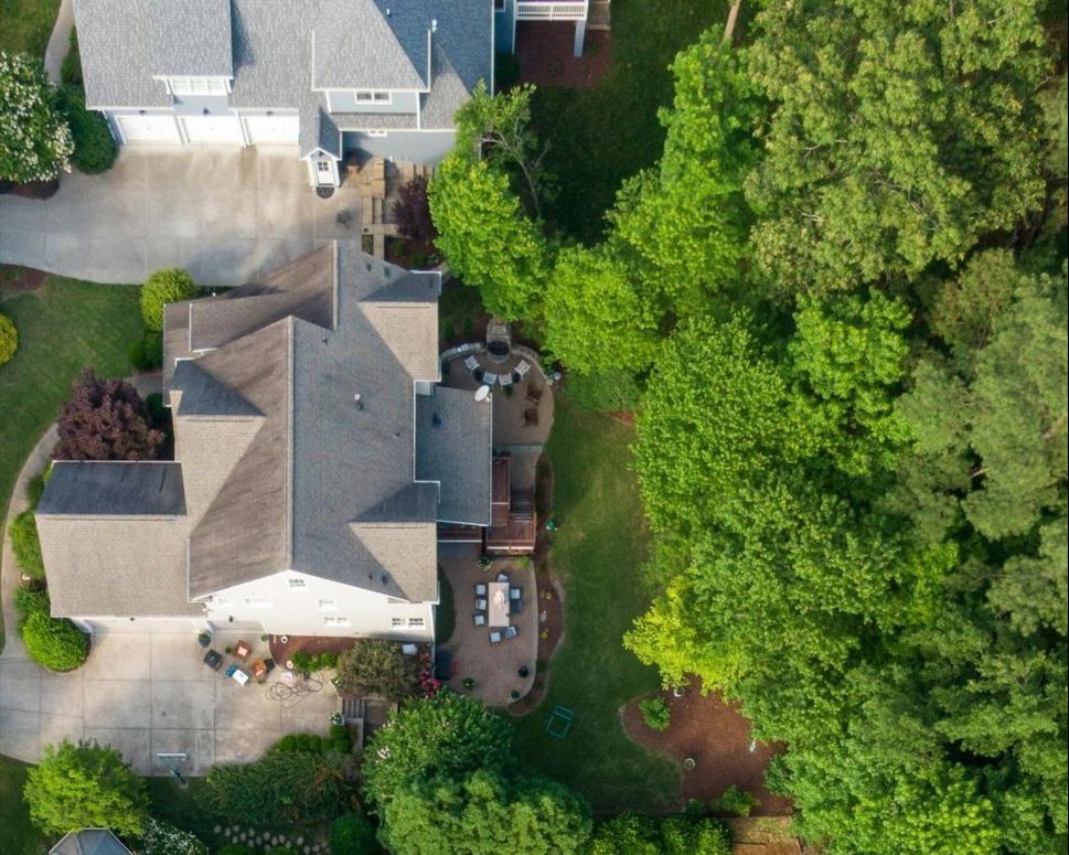 Count on Personal Touch Tree Service for professional tree consultations and more Count on Personal Touch Tree Service for professional tree consultations and more