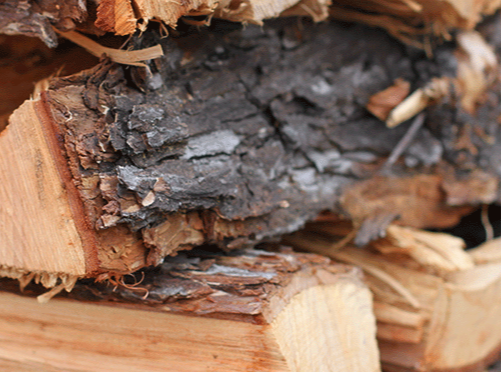 Sustainable Firewood & Cooking Wood from Personal Touch Tree Service Sustainable Firewood & Cooking Wood from Personal Touch Tree Service