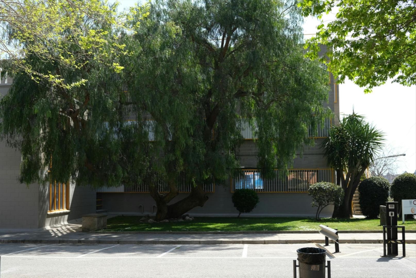 Tree Mitigation services in the Dallas–Fort Worth Metroplex