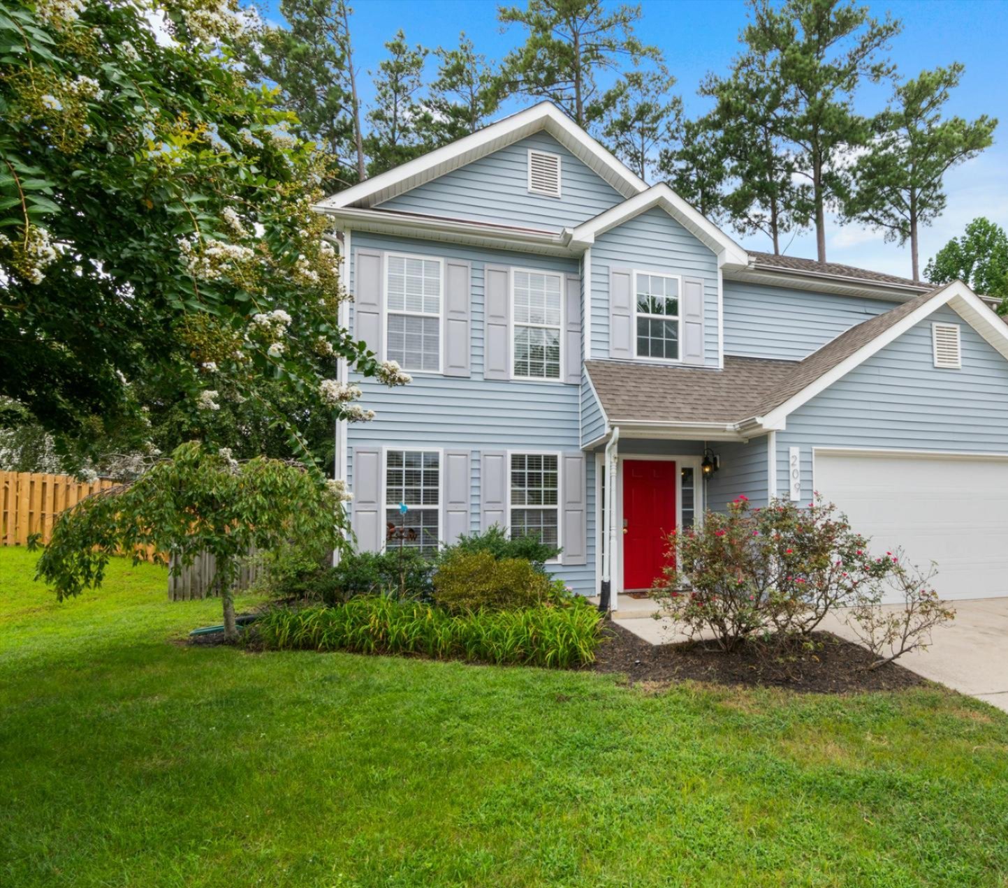 Professional tree services near Plano, Dallas, TX Professional tree services near Plano, Dallas, TX