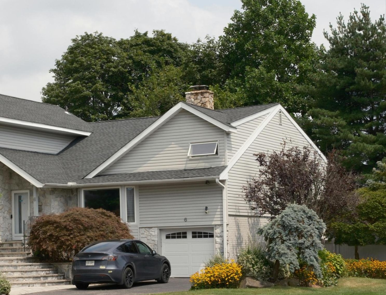 Residential tree mitigation services in Dallas TX and surrounding areas