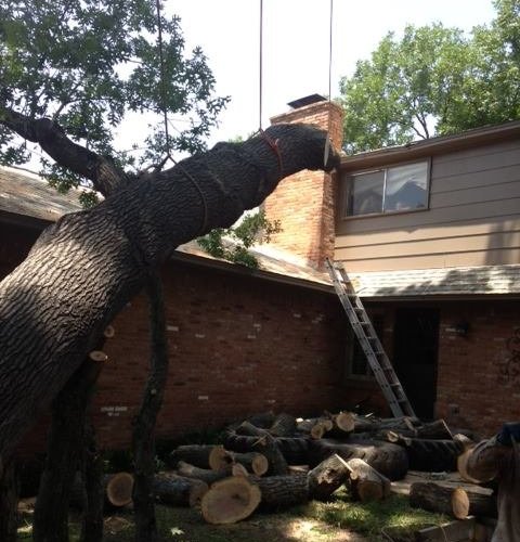 Tree removal project by Personal Touch Tree Service