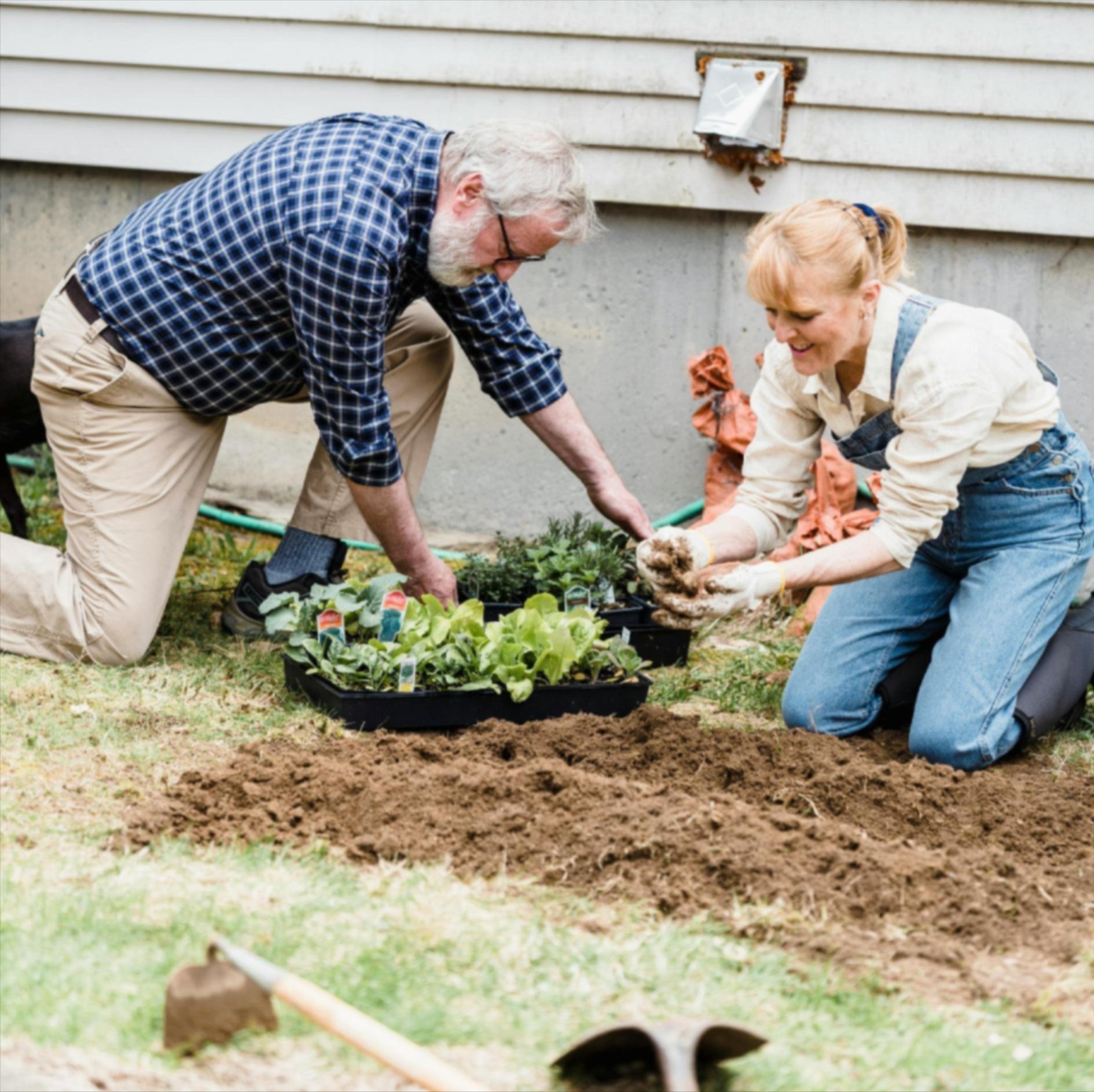Access free mulch from Personal Touch Tree Service for your garden, trees, or landscape beds