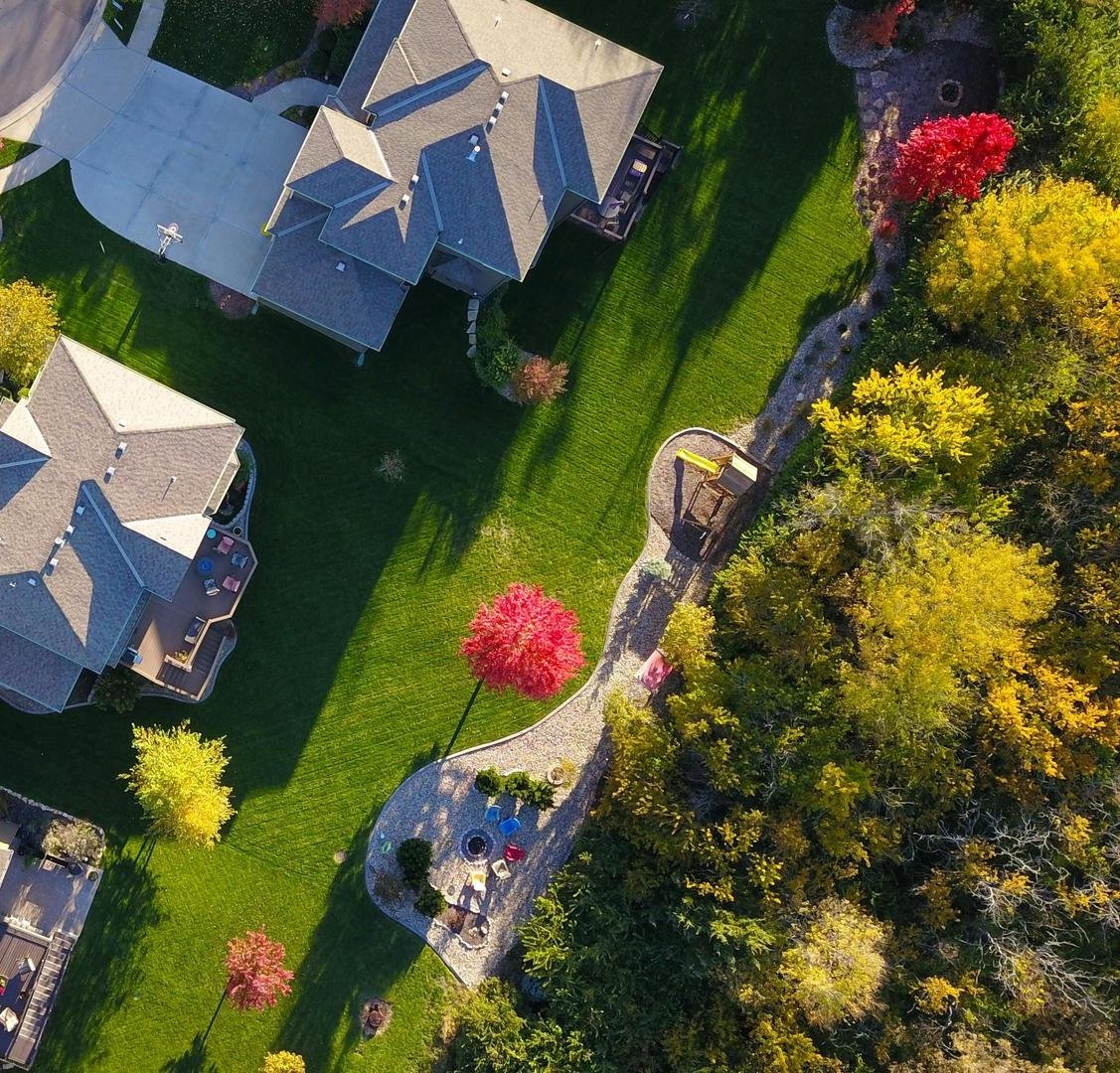 Tree mitigation and sustainable tree care near Dallas, TX